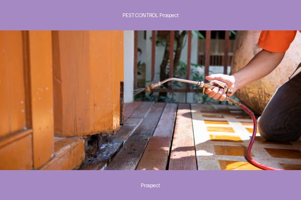 PEST CONTROL Prospect